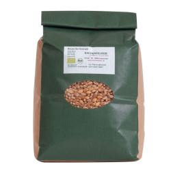 Graines à germer blé bio - 1kg - Eschenfelder