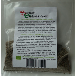Carottes Graines à germer Bio - 100 g - Bardowick