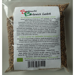 Coriandre Graines à germer Bio - 300 g - Bardowick
