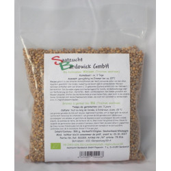 Weizen Bio Sprossen-Keimsaat - 500 g - Bardowick